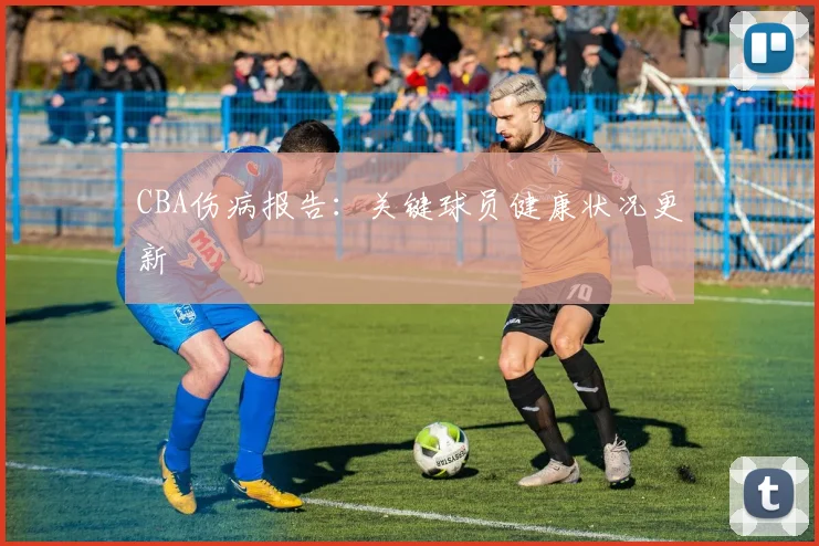 CBA伤病报告：关键球员健康状况更新